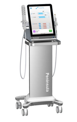 Tress Urinary Radio Frequency Therapy Incontinence Vaginal Rejuvenation Clinical Studies