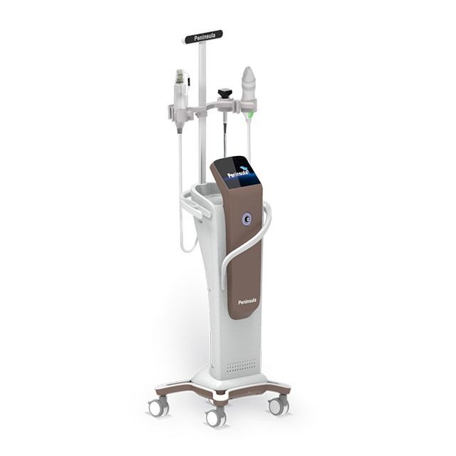 Peninsula Fractional RF Micro Needle Skin Care System 240V